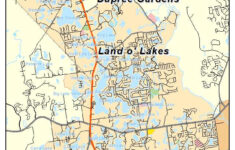 Aerial Photography Map Of Land O Lakes FL Florida
