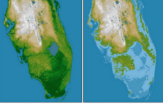 Alarming Map Shows What Could Be Left Of Florida If Sea Level Rises