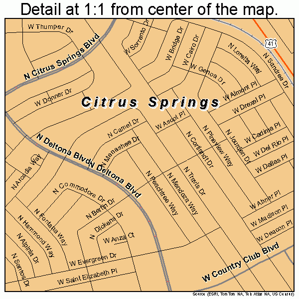 Citrus Springs Florida Street Map 1212450