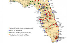 Creeping Indigo Toxicity Large Animal Hospital College Of