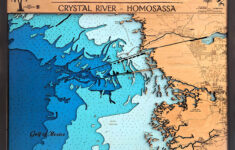Crystal River Homosassa Island Laser Design