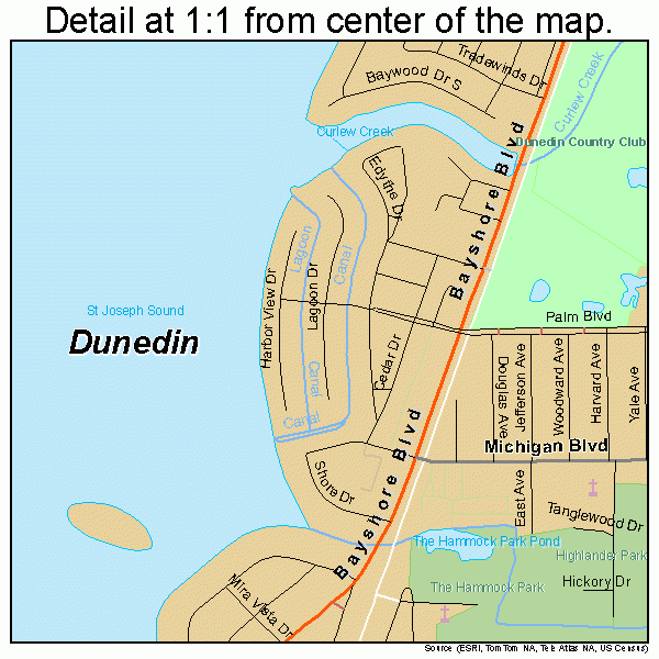 Dunedin Florida Street Map 1218575