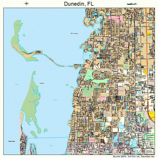 Dunedin Florida Street Map 1218575