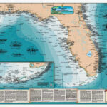 Florida Gulf Shipwreck Chart Nautical Map EBay
