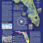 Florida Sinkhole Map Florida Sinkhole Map Map Of Florida Florida
