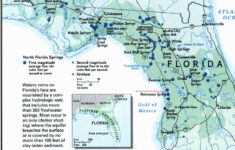 florida springs florida springs caves for diving florida springs 1 Florida Springs FLORIDA SPRINGS CAVES For DIVING Florida Springs