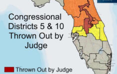 Florida Supreme Court Orders New Congressional Map With Eight Districts
