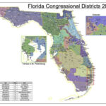 Florida Supreme Court Rules For Plaintiff S Maps