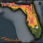 Florida Topography Map Colorful Natural Physical Landscape