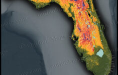 Florida Topography Map Colorful Natural Physical Landscape