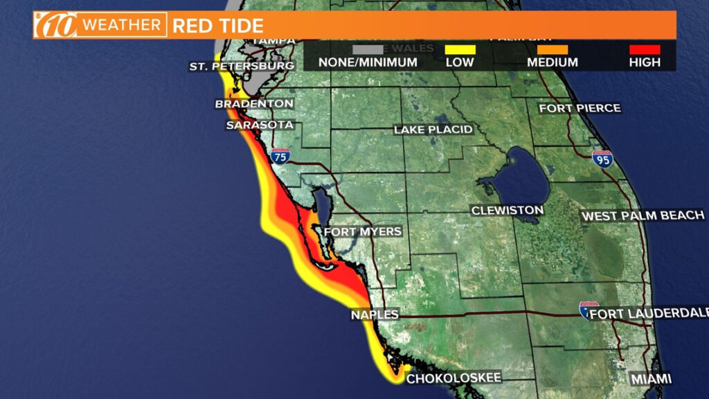 FWC Releases New Red Tide Map Medium Concentration Reported In Madeira