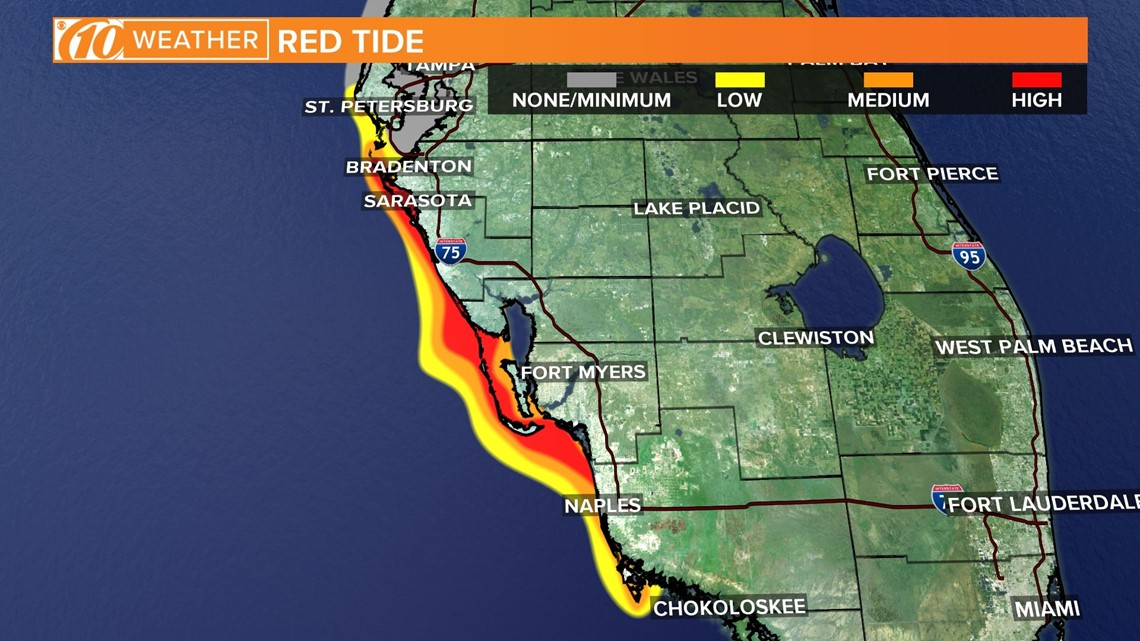 FWC Releases New Red Tide Map Medium Concentration Reported In Madeira 