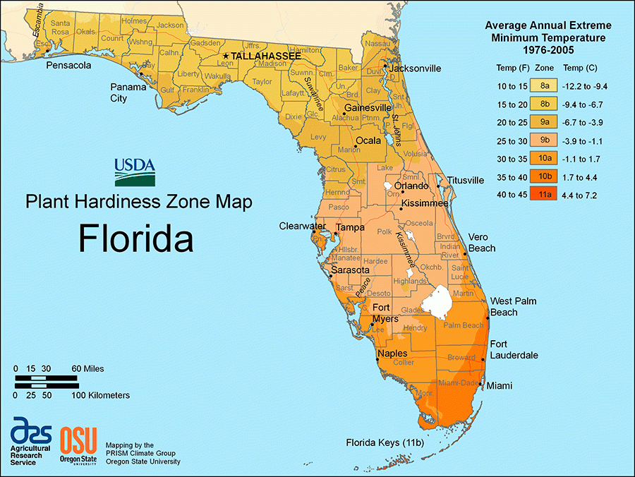 Geography ALL ABOUT FLORIDA