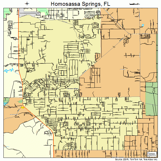 Homosassa Springs Florida Street Map 1232400