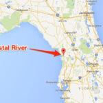 How To Find Redfish In A New Area Crystal River Fishing Report