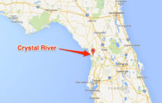 How To Find Redfish In A New Area Crystal River Fishing Report