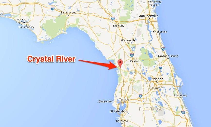How To Find Redfish In A New Area Crystal River Fishing Report 