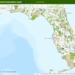 Interactive Map Of Florida Free Printable Maps