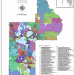 Lake County Florida Precinct Map ID 5c115d7f8e919