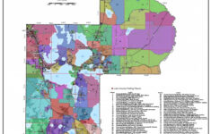 Lake County Florida Precinct Map ID 5c115d7f8e919