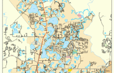 Land O Lakes Florida Street Map 1239200