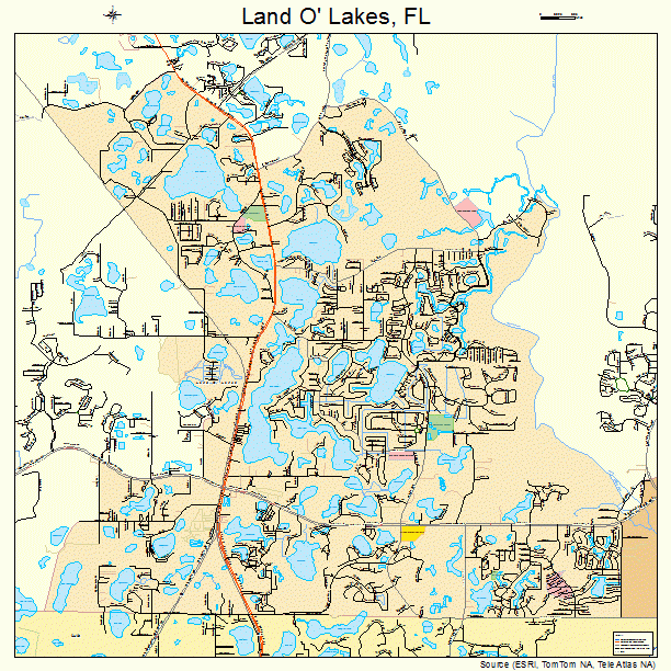 Land O Lakes Florida Street Map 1239200