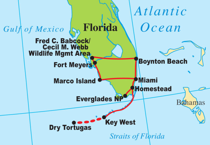 Map Of Marco Island Florida