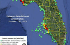 no red tide bloom offshore from sarasota manatee fwc says news No Red Tide Bloom Offshore From Sarasota Manatee Fwc Says News