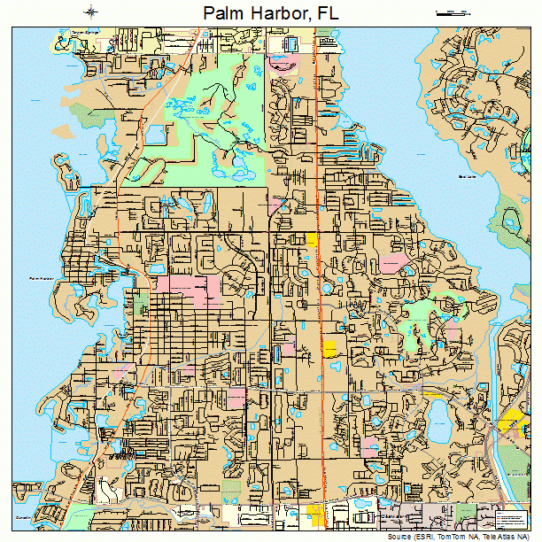 Palm Harbor Florida Street Map 1254350