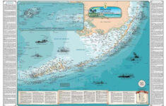 pin by susan hurlburt on steve s art shipwreck dry tortugas gulf Pin By Susan Hurlburt On Steve s Art Shipwreck Dry Tortugas Gulf