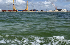 piney point discharges brings risk of algal blooms in tampa bay Piney Point Discharges Brings Risk Of Algal Blooms In Tampa Bay