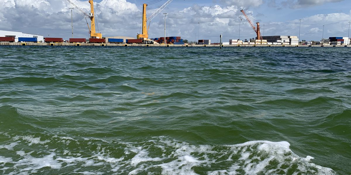 Piney Point Discharges Brings Risk Of Algal Blooms In Tampa Bay
