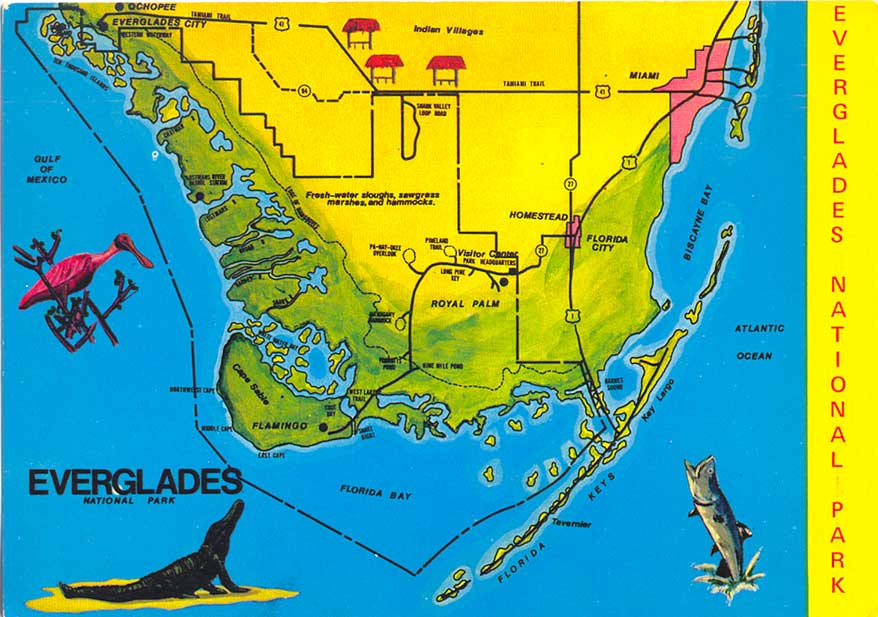 POSTCARDY The Postcard Explorer Map Everglades National Park