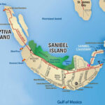 Sanibel Island FL The World S Best Shelling Beaches Captiva Island