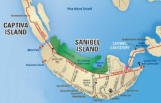sanibel island fl the world s best shelling beaches captiva island Sanibel Island FL The World s Best Shelling Beaches Captiva Island