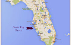 Siesta Key Florida Martinis Bikinis