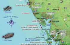 Southwest Florida Fish Card Florida Fish Sanibel Island Florida Map