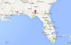 Tallahassee World Easy Guides