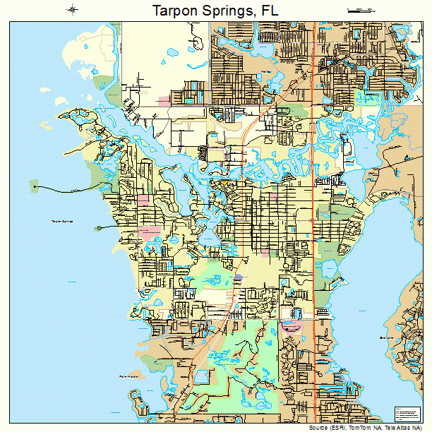 Map Of Tarpon Springs Florida