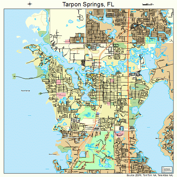 Tarpon Springs Florida Street Map 1271150