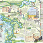 The Souvenir Map Guide Of Crystal River Fl