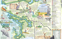 The Souvenir Map Guide Of Crystal River Fl