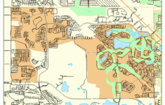The Villages Florida Street Map 1271625