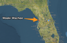 Travel Thru History A Roadside Mermaid Paradise At Weeki Wachee Springs