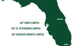 University Of South Florida