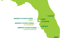 University Of South Florida