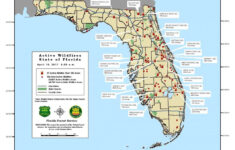 Wildfires Continue To Burn Across Central Florida Central Florida