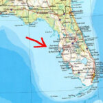 Work Play Or Retire In Palm Harbor Florida Map Of Florida Map Of