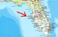 work play or retire in palm harbor florida map of florida map of Work Play Or Retire In Palm Harbor Florida Map Of Florida Map Of