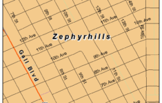 Zephyrhills Florida Street Map 1279225